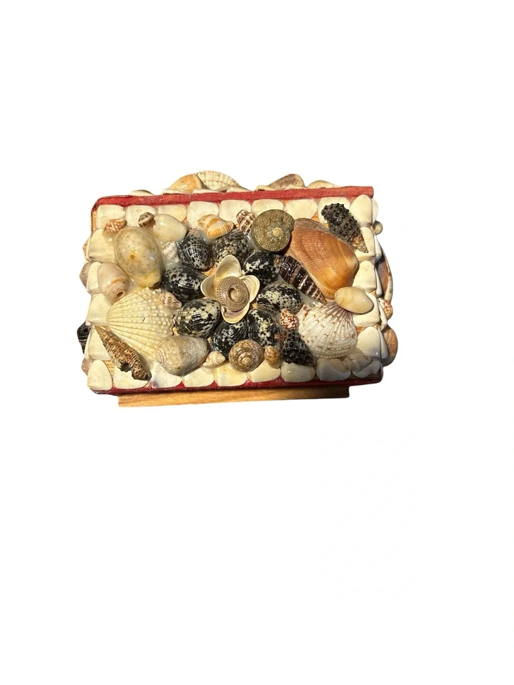 Seashell Kitsch Trinket Box – Natural Shell Mosaic 🐚 - Picture 4 of 5